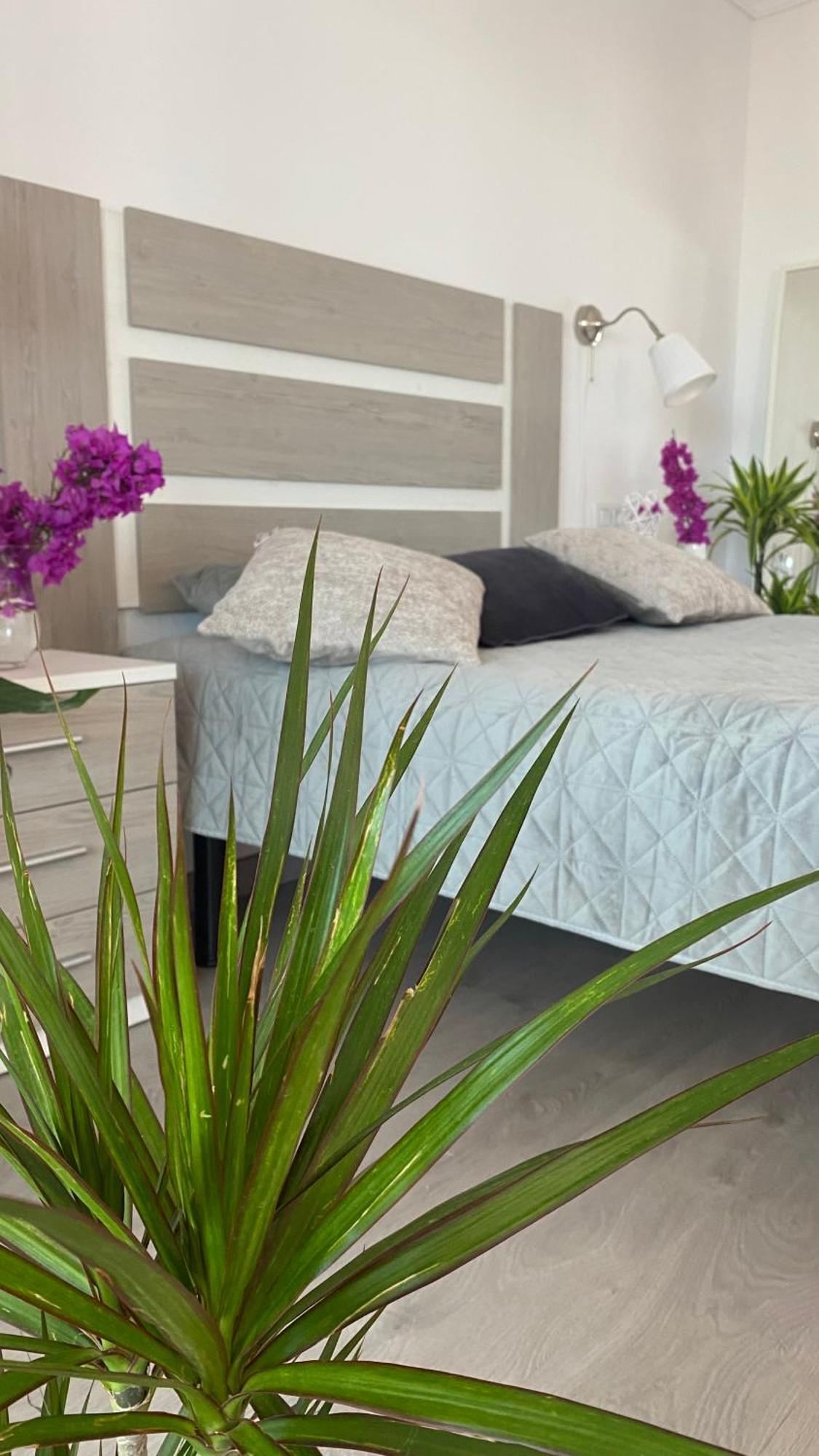 Apartment Anna Benidorm Bagian luar foto